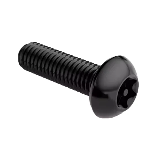 6 -lobe Pane Head screw နှစ်ခု