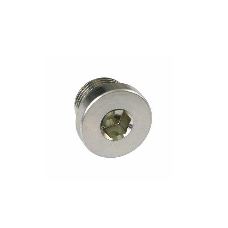 BSP Male Captive Seal Plug