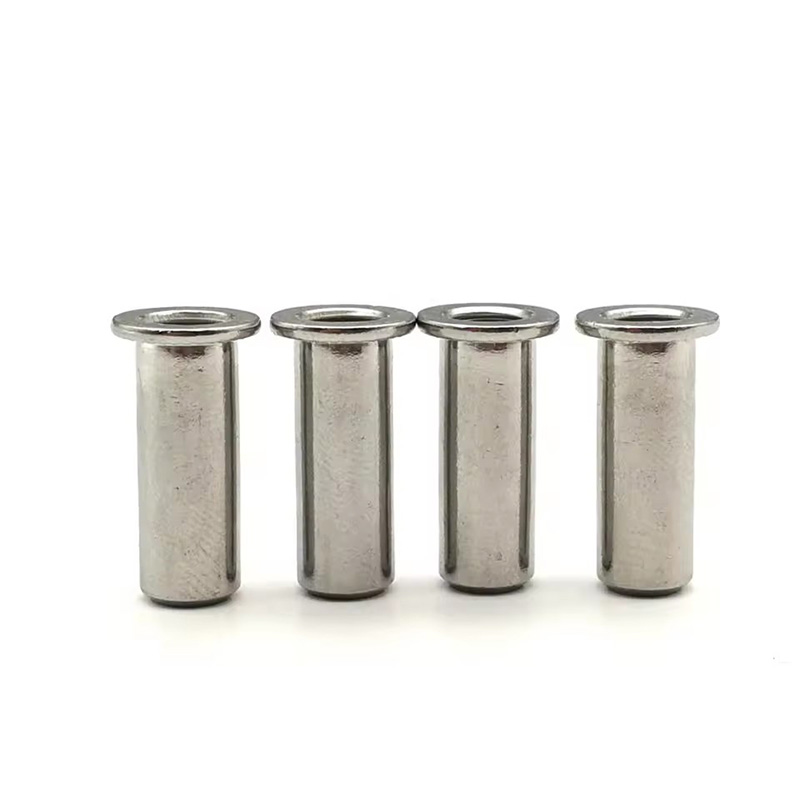 Corrosion ခံနိုင်ရည်ရှိသောကောင်တီခေါင်းကို riveted အခွံမာသီး