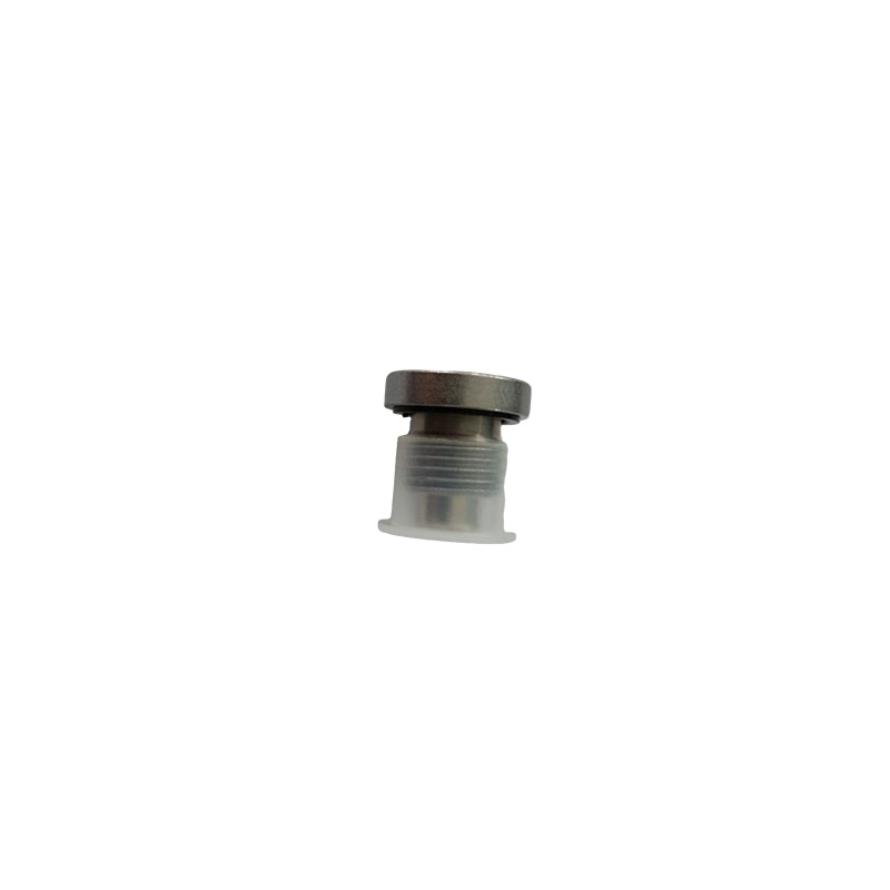 တံဆိပ်ပါသော Countersunk Hollow Hex ပလပ်
