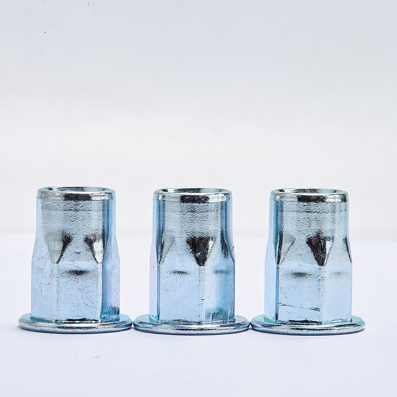 hex သော့ခတ် hex rivet ခွံမာသီး