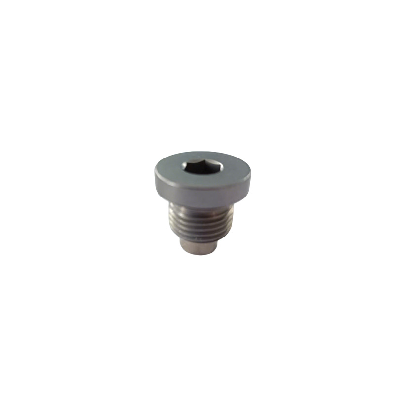 O-Ring နှင့် Hollow Hex Pipe Plug