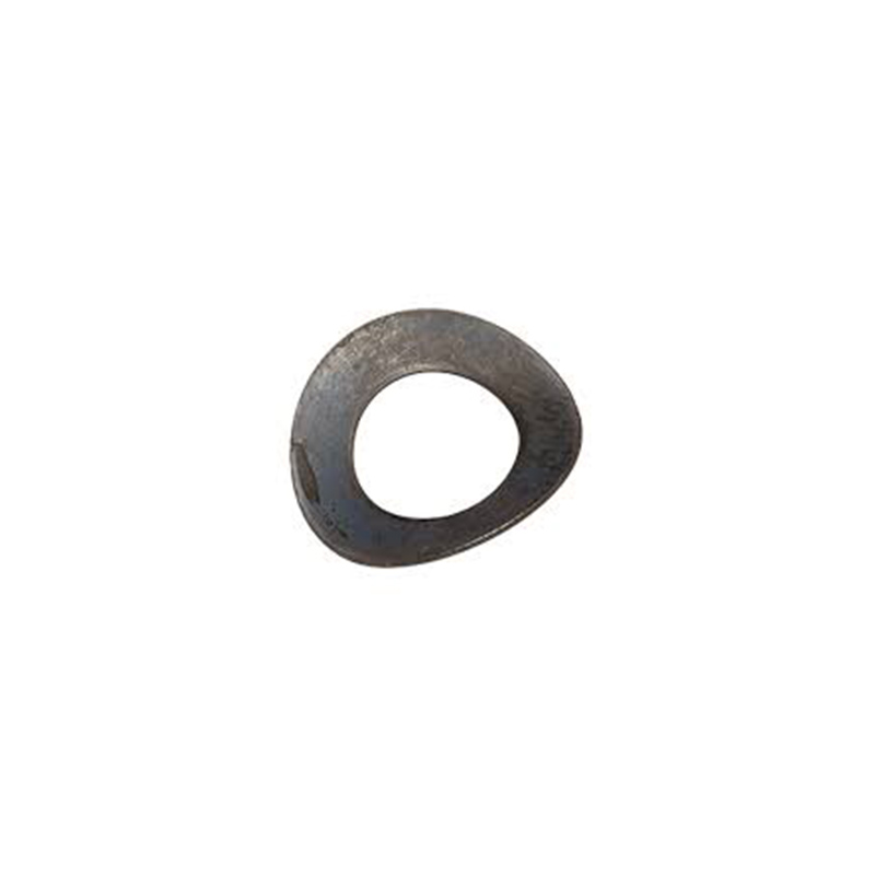 Stainless Steel Curved Spring Washer